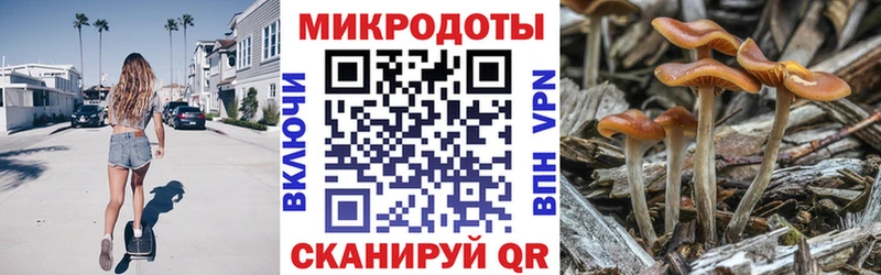 Псилоцибиновые грибы Cubensis  Верхнеуральск 